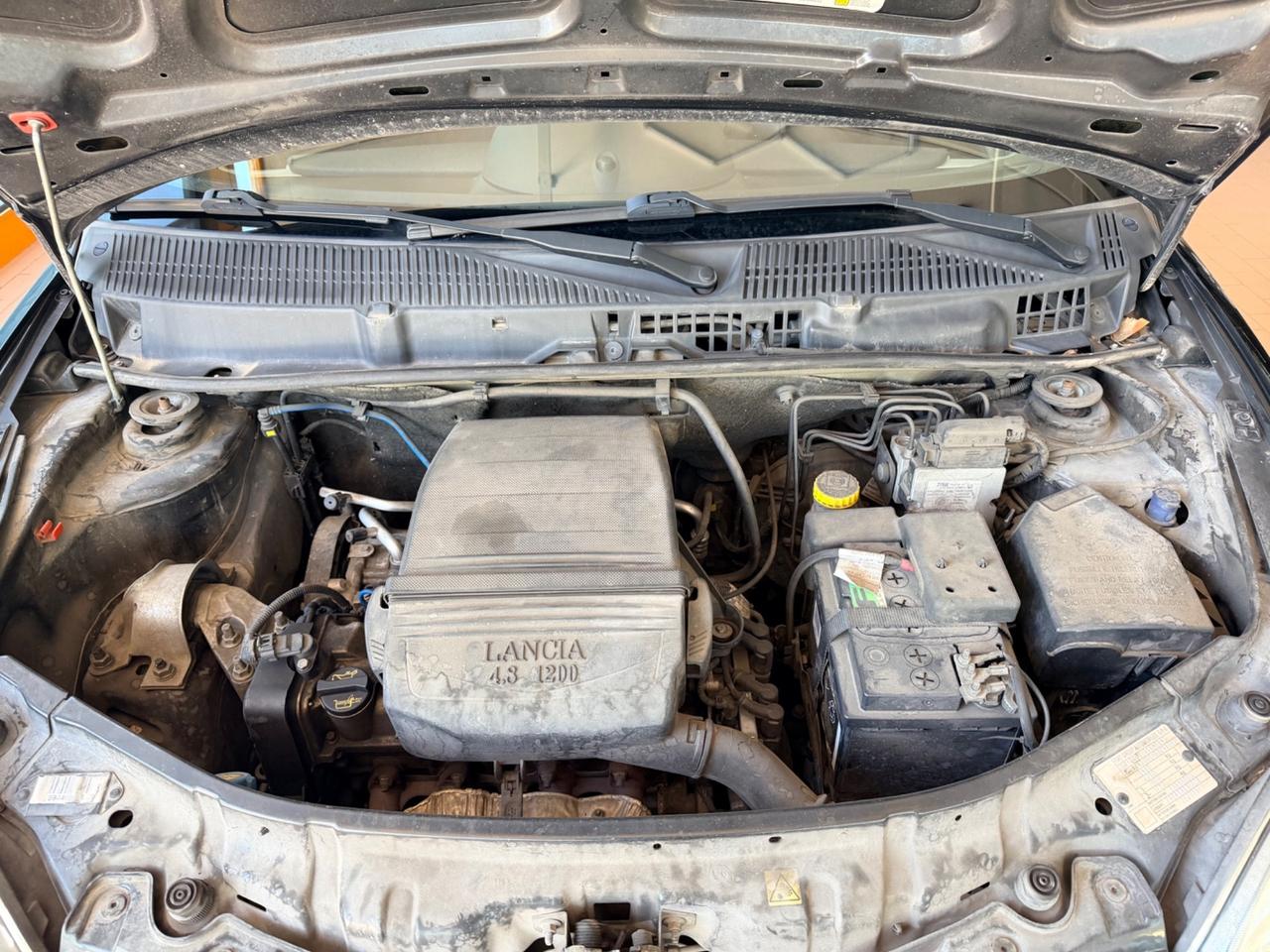 Lancia Ypsilon 1.2Benzina 60cv Neopatentati
