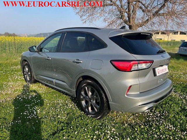 FORD Kuga 1.5 EcoBlue 120 CV 2WD ST-Line