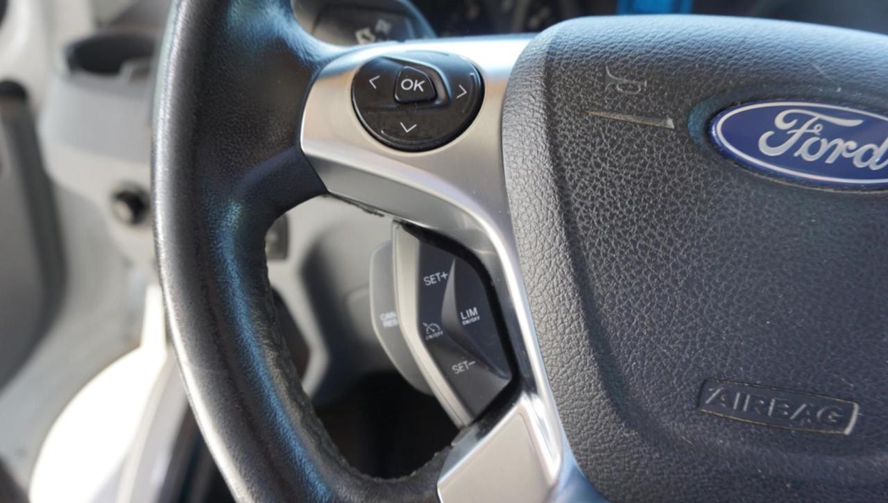 Ford Transit 290 2.0TDCi EcoBlue 130CV PM-TM Furgone Trend