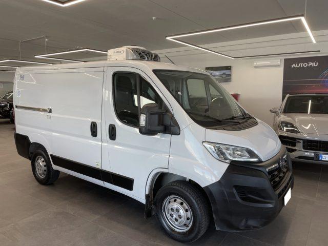 OPEL Movano 33 2.2 BlueHDi 140 CV Furgone Frigo -20°