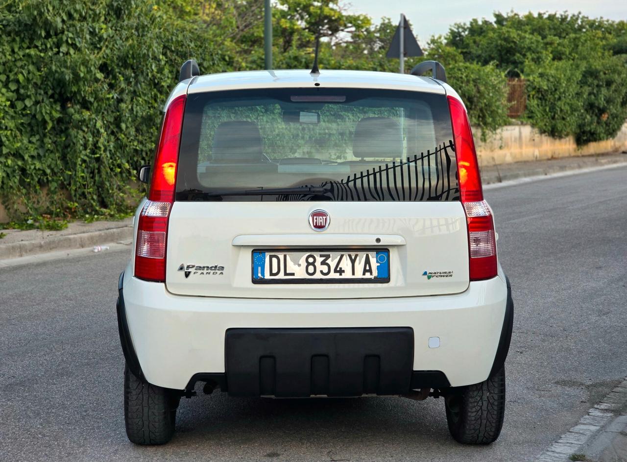 FIAT PANDA CLIMBING 1.2 NATURAL POWER PERFETTA