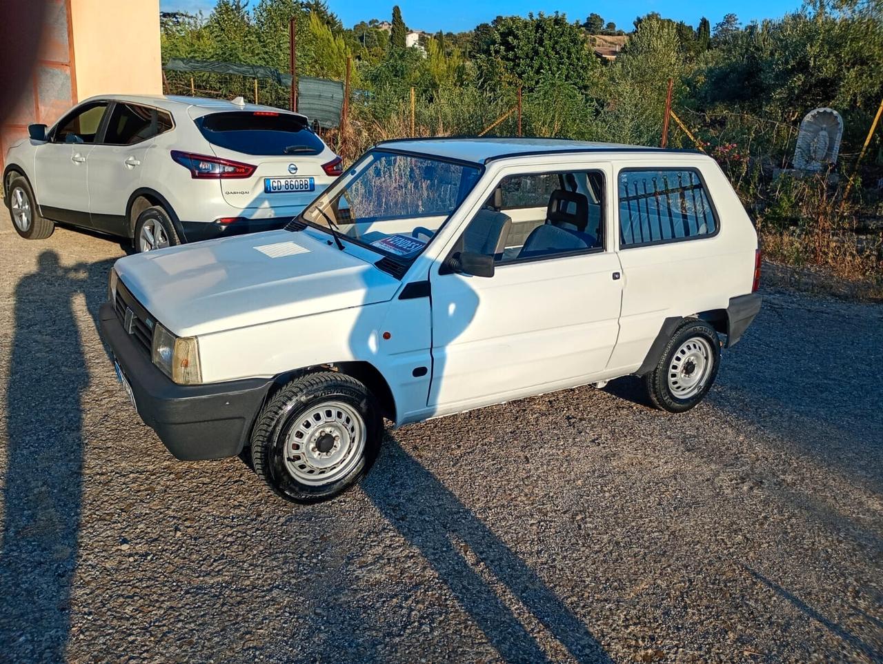 Fiat Panda 900 i.e. cat Young