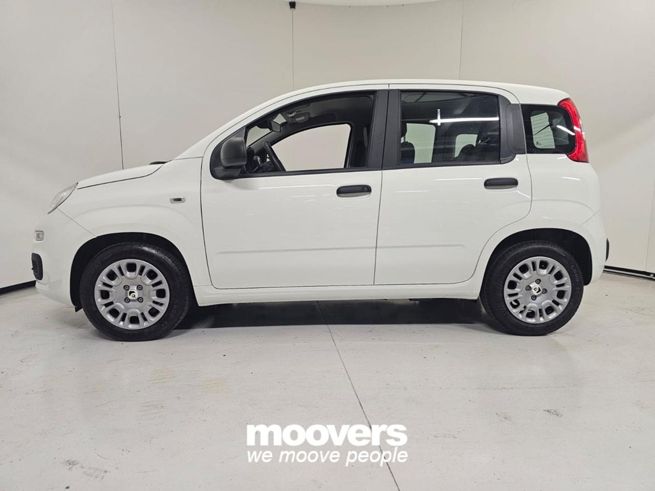 FIAT Panda 3ª serie 1.0 FireFly S&S Hybrid Pandina