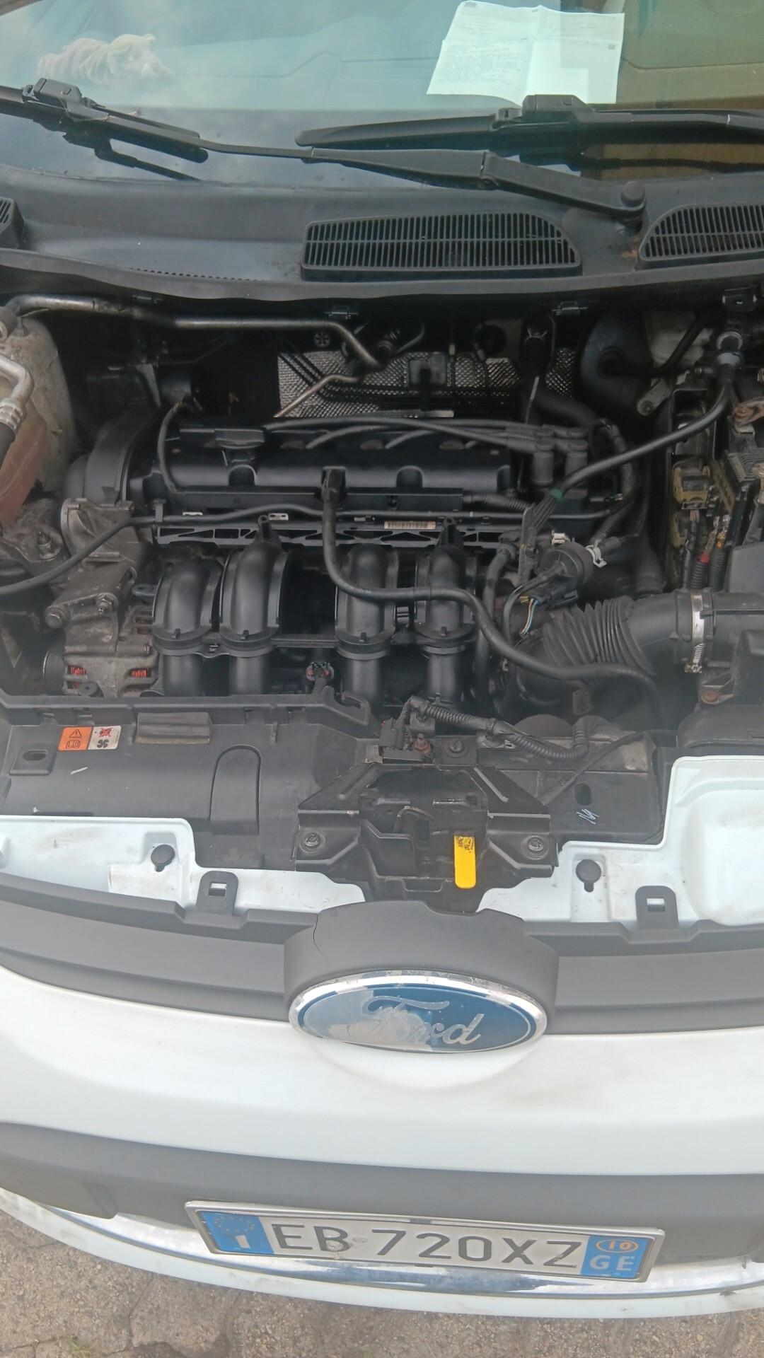 Ford Fiesta 1.2 82 CV 5 porte Titanium