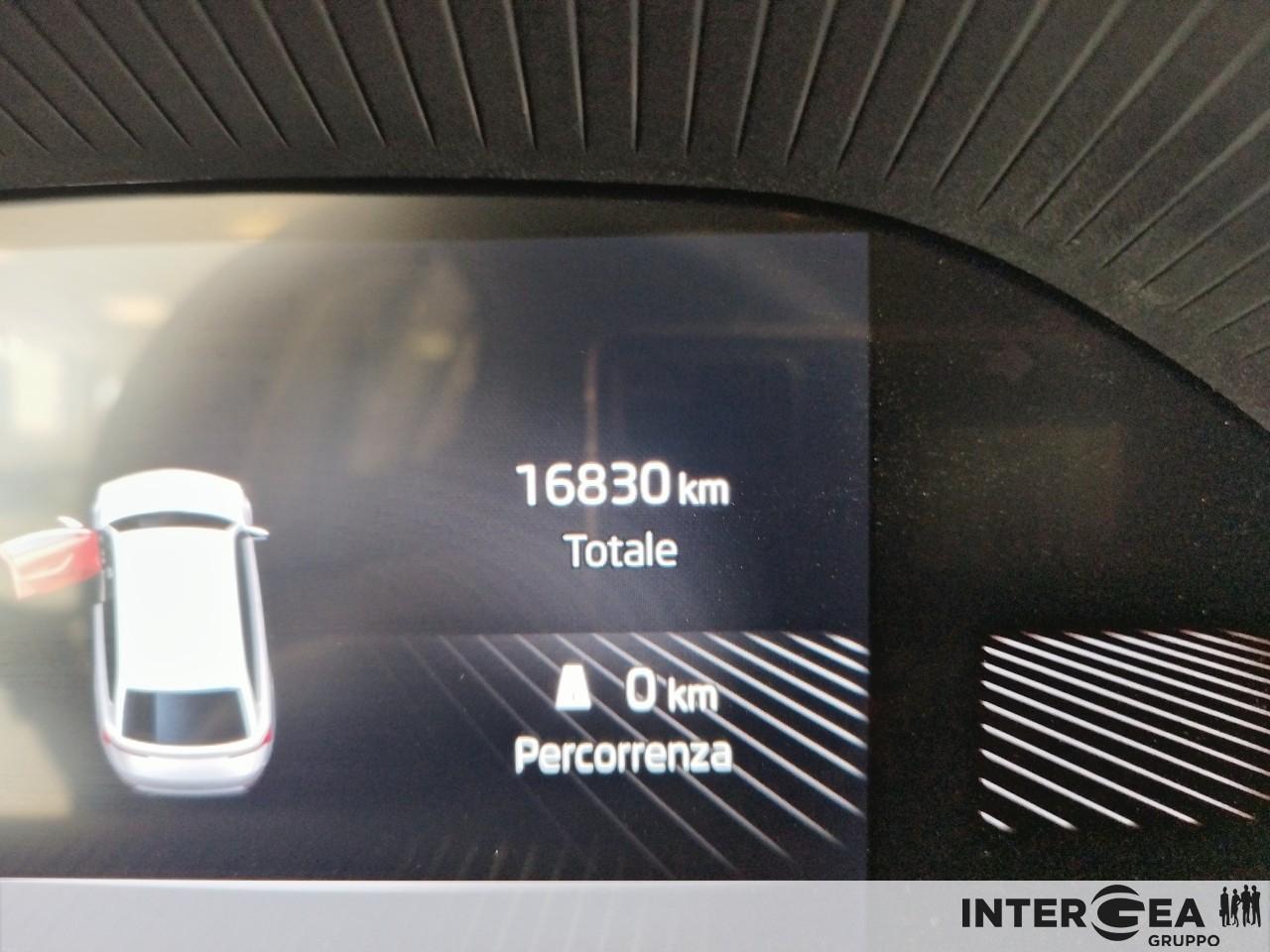 SKODA Fabia 1.0 tsi evo Selection 95cv
