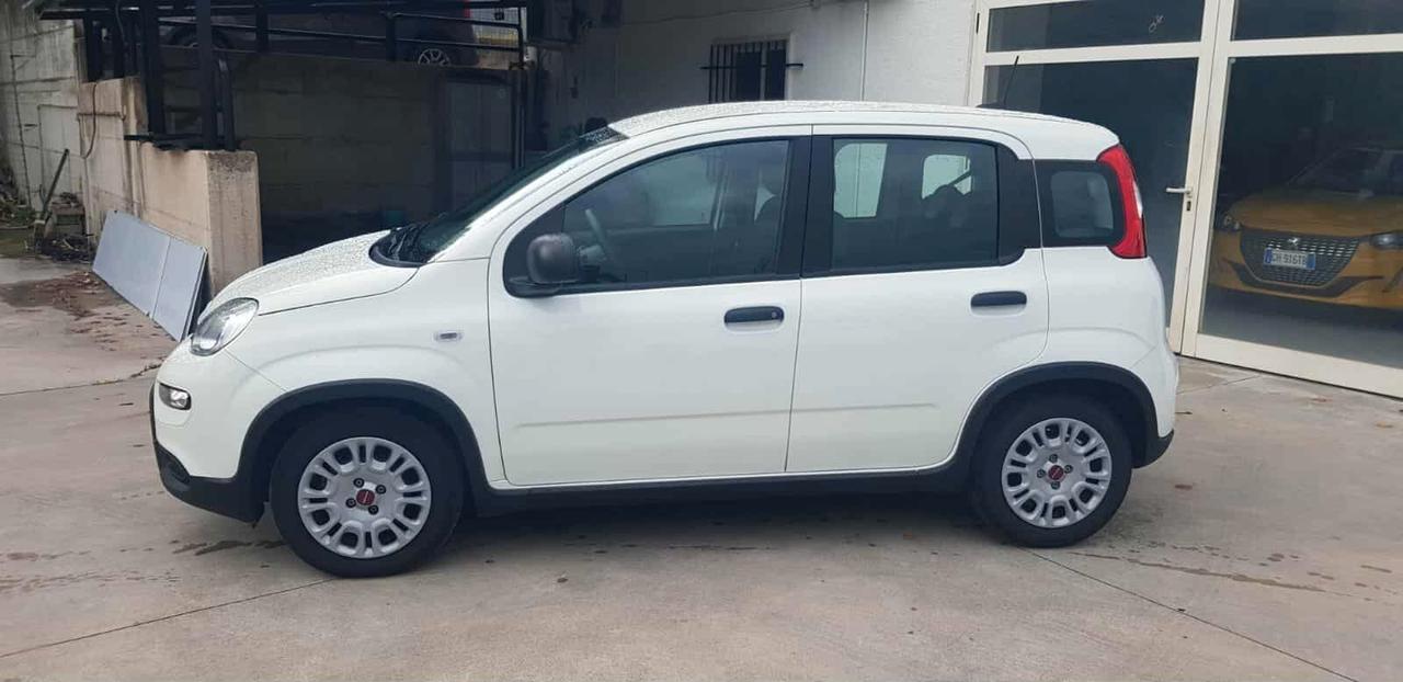 Fiat Panda 1.0 Hybrid 70cv
