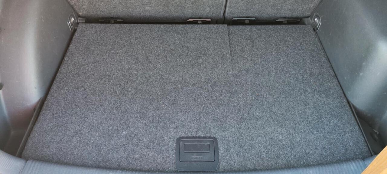Volkswagen Golf Plus 1.9 TDI/101 CV cat Var. Comfortline