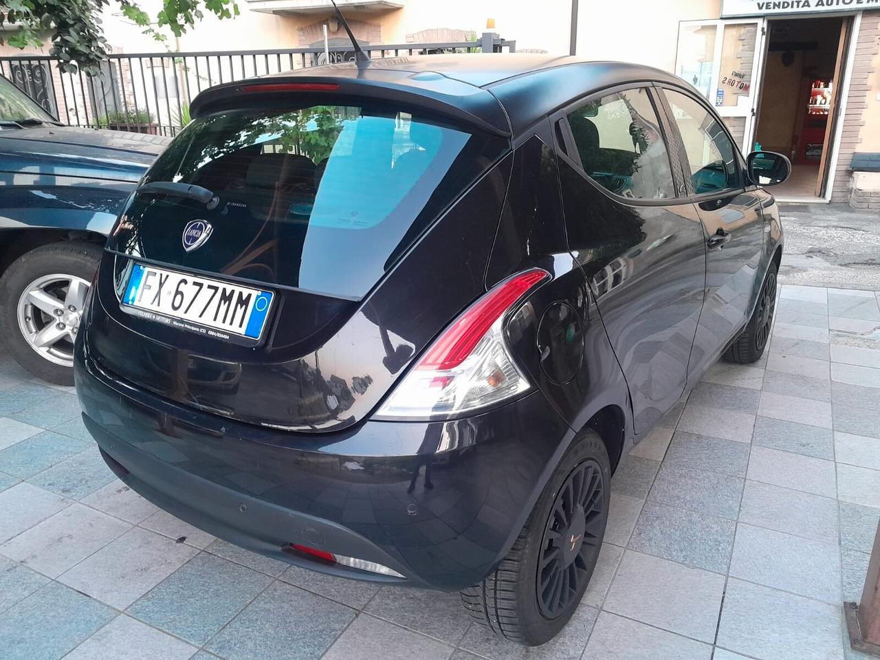 Lancia Ypsilon 1.2 69 CV 5 porte S&S Platinum