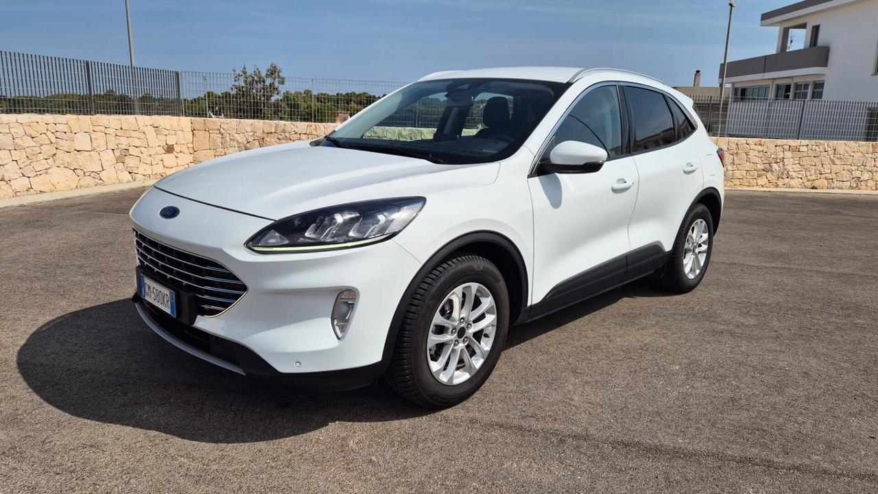 Ford Kuga 1.5 EcoBlue 120 CV 2WD Titanium Business