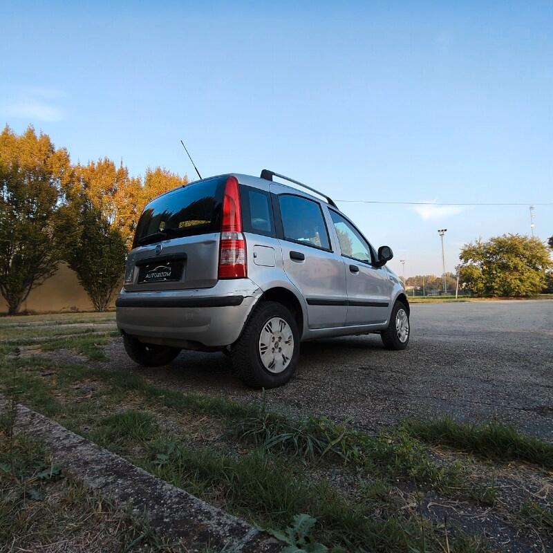 FIAT Panda 2ª serie Panda 1.2 Active Natural P...