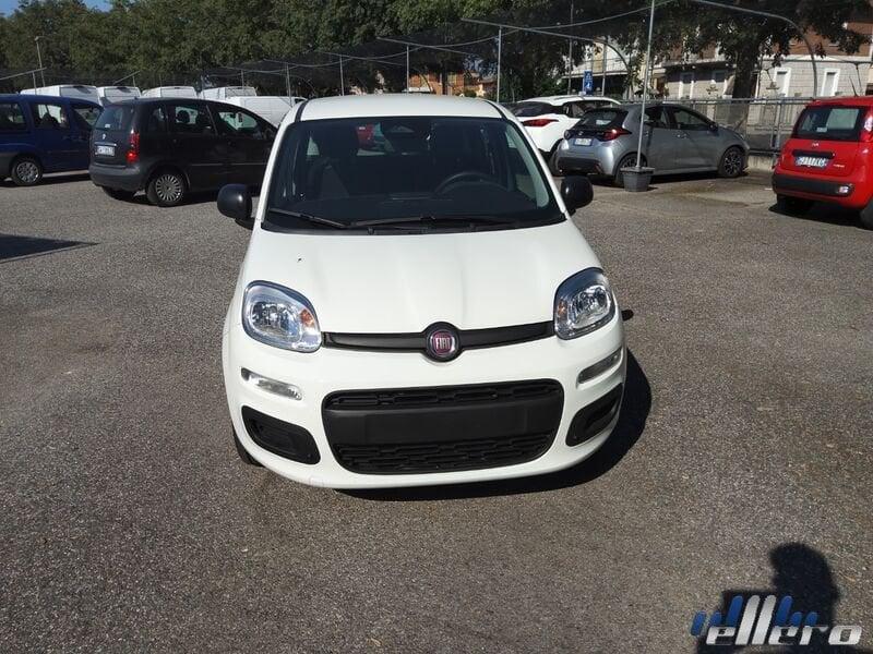 FIAT Panda MY25 1.0 70cv Hybrid