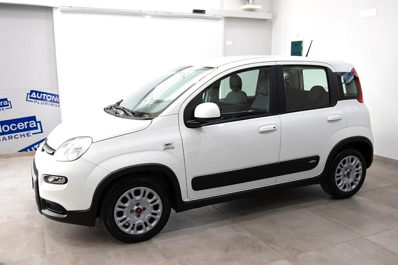 Fiat Panda 1.0 Hybrid 70cv City Life