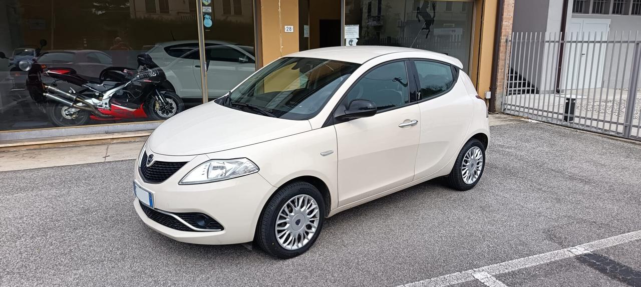 LANCIA Ypsilon 1.2 69 CV 5 porte Platinum - 2016