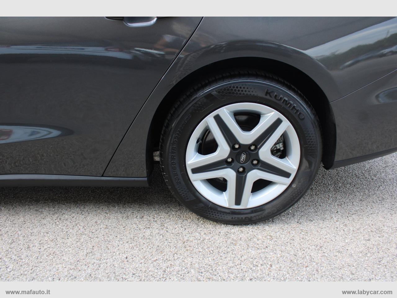 FORD Focus 1.5 EcoBlue 120CV SW Business