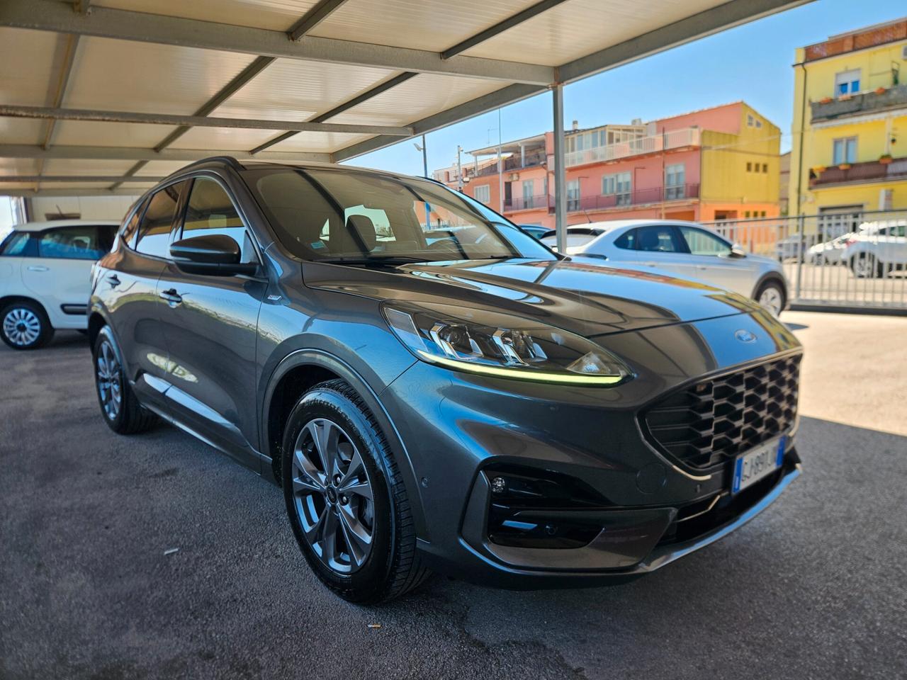 Ford Kuga 2.0 EcoBlue Hybrid 150 CV 2WD ST-Line