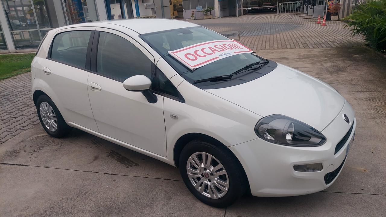 Fiat Punto 1.2 8V 5 porte Lounge - Neopatentati