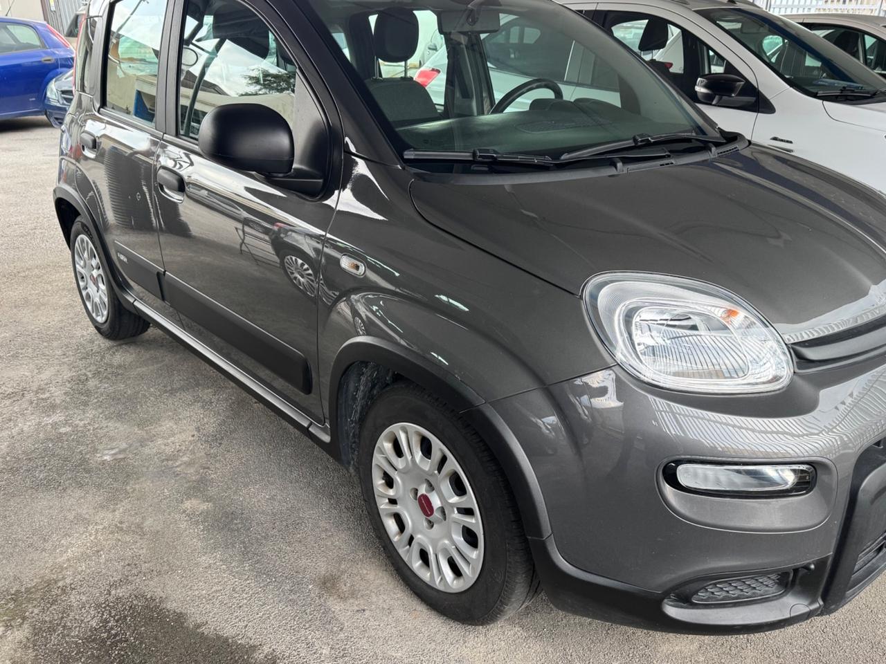 Fiat Panda 1.0 FireFly S&S Hybrid