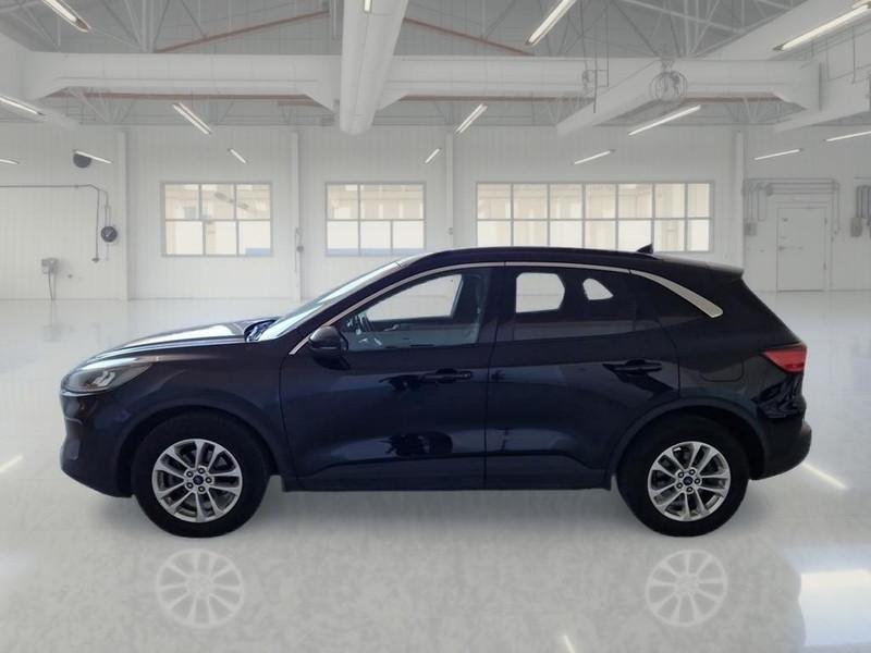 FORD KUGA 1.5 ECOBLUE 120 CV 2WD TITANIUM BUSINESS AUTO SUV