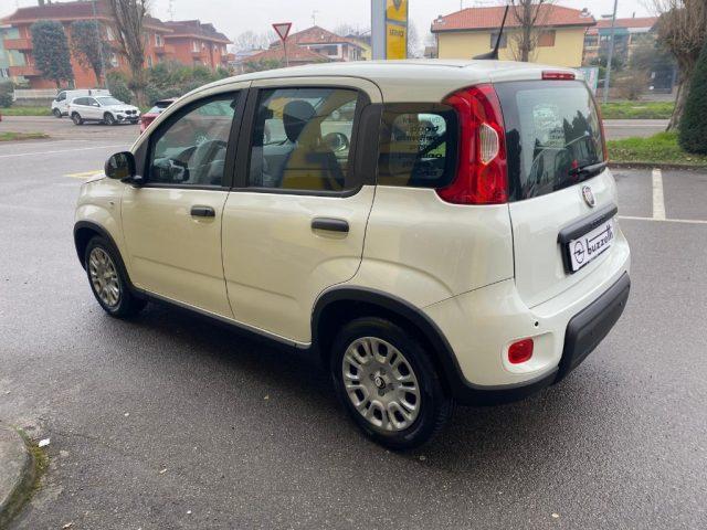 FIAT Panda 1.0 FireFly S&S Hybrid Pandina