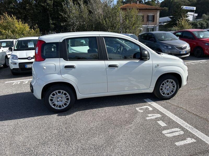 FIAT Panda New 1.0 70cv Hybrid Pop