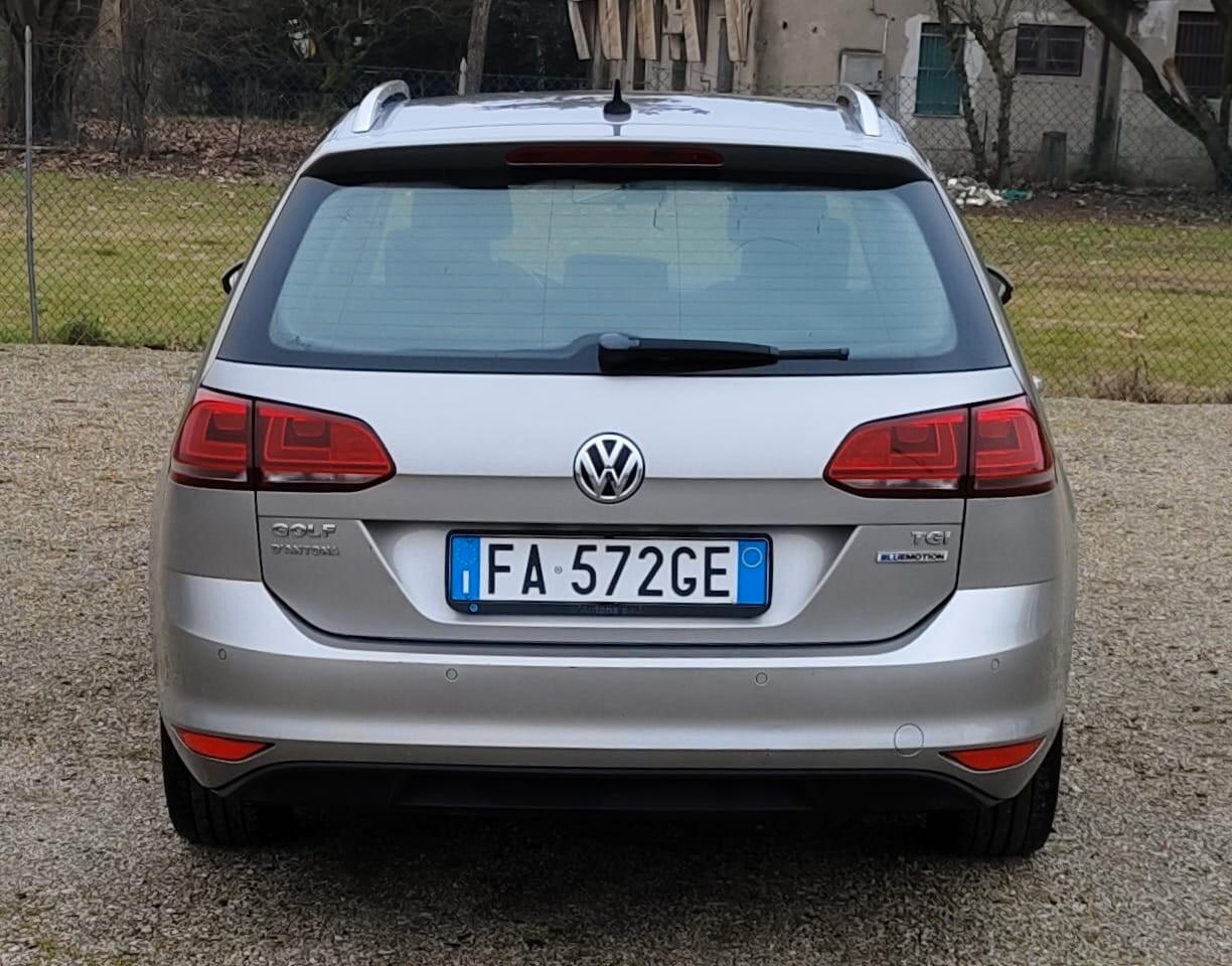 Volkswagen Golf Variant 1.4 TGI Executive 4 Free BlueMotion