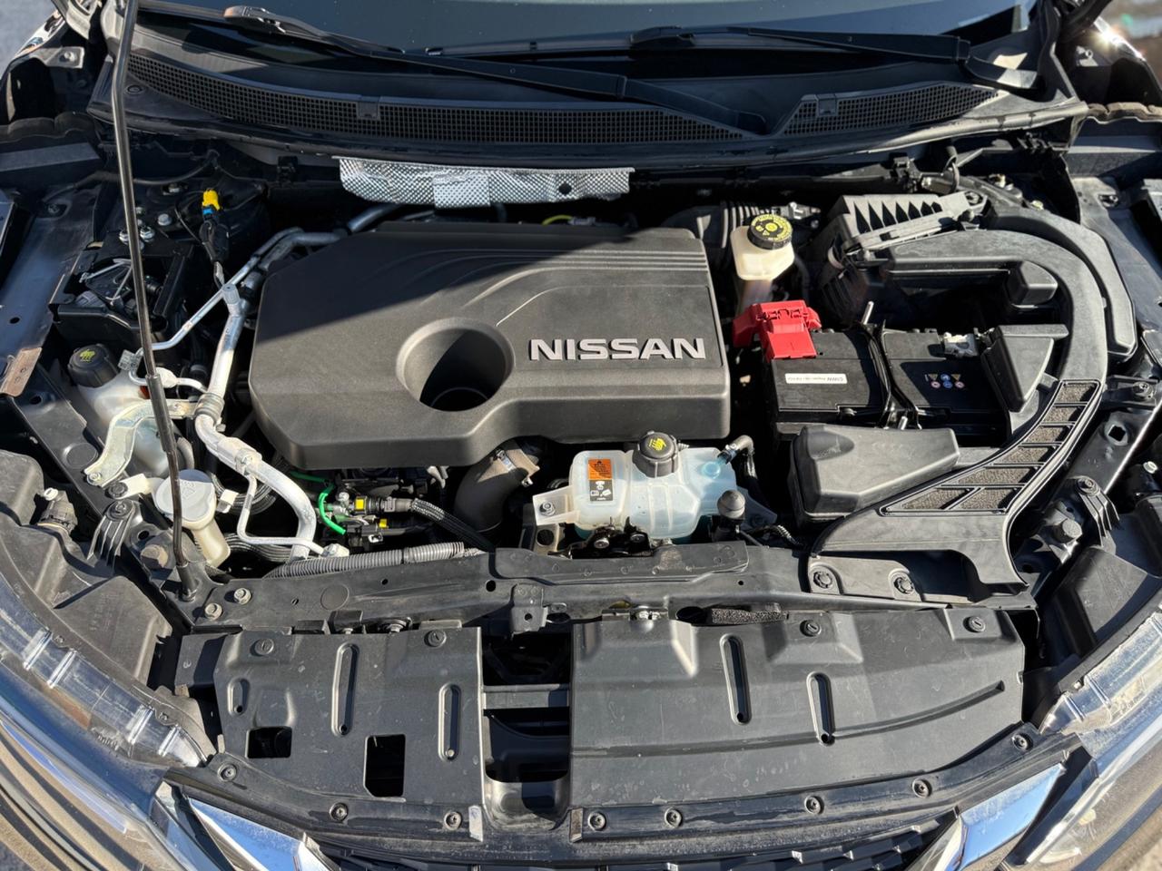 Nissan Qashqai 1.5 dCi 115 CV N-Connecta