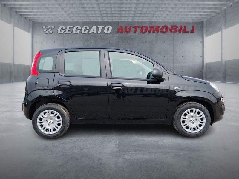 FIAT Panda Panda 1.0 firefly hybrid s&s 70cv