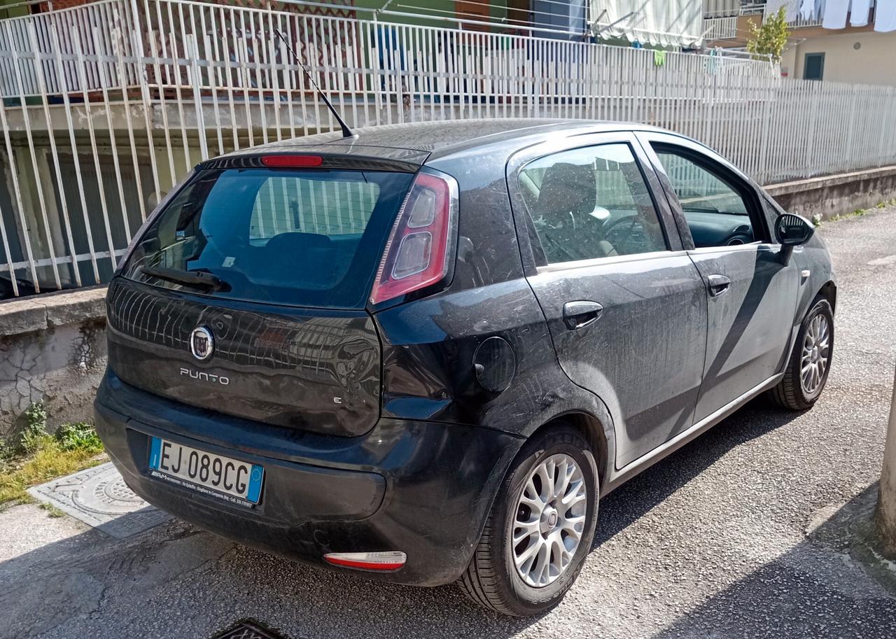 Fiat Punto Evo Punto Evo 1.4 5 porte Dynamic EasyPower