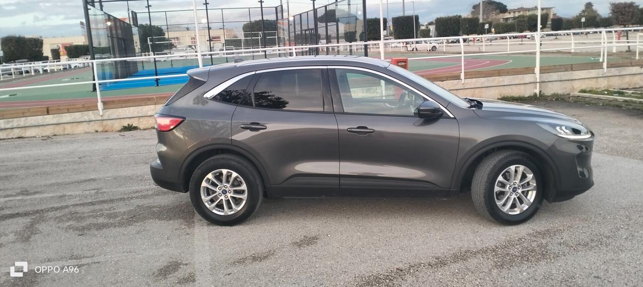 Ford Kuga 1.5 EcoBlue 120 CV aut. 2WD Connect