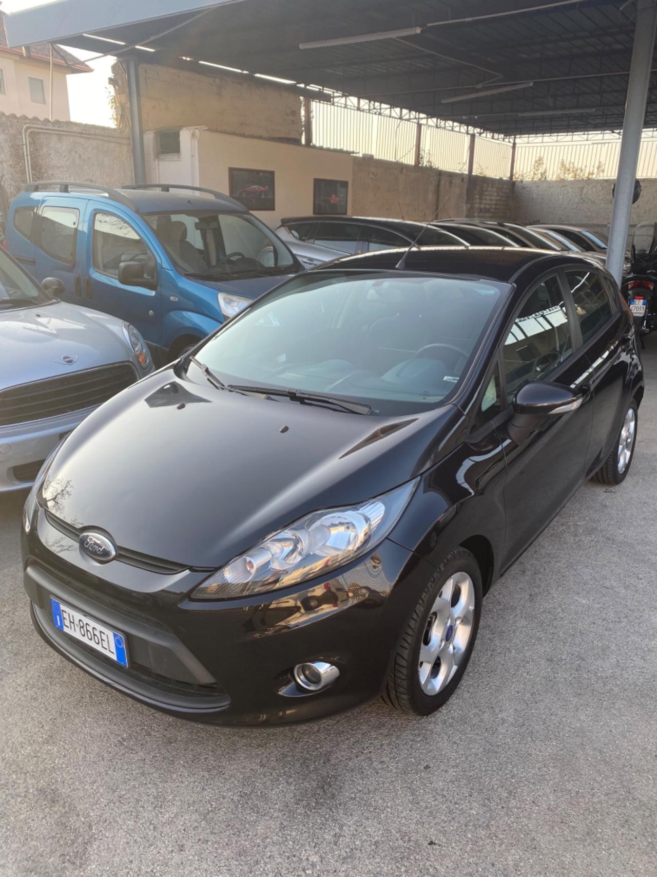 Ford Fiesta 1.4 TDCI Fine 2011 TAGLIANDATA