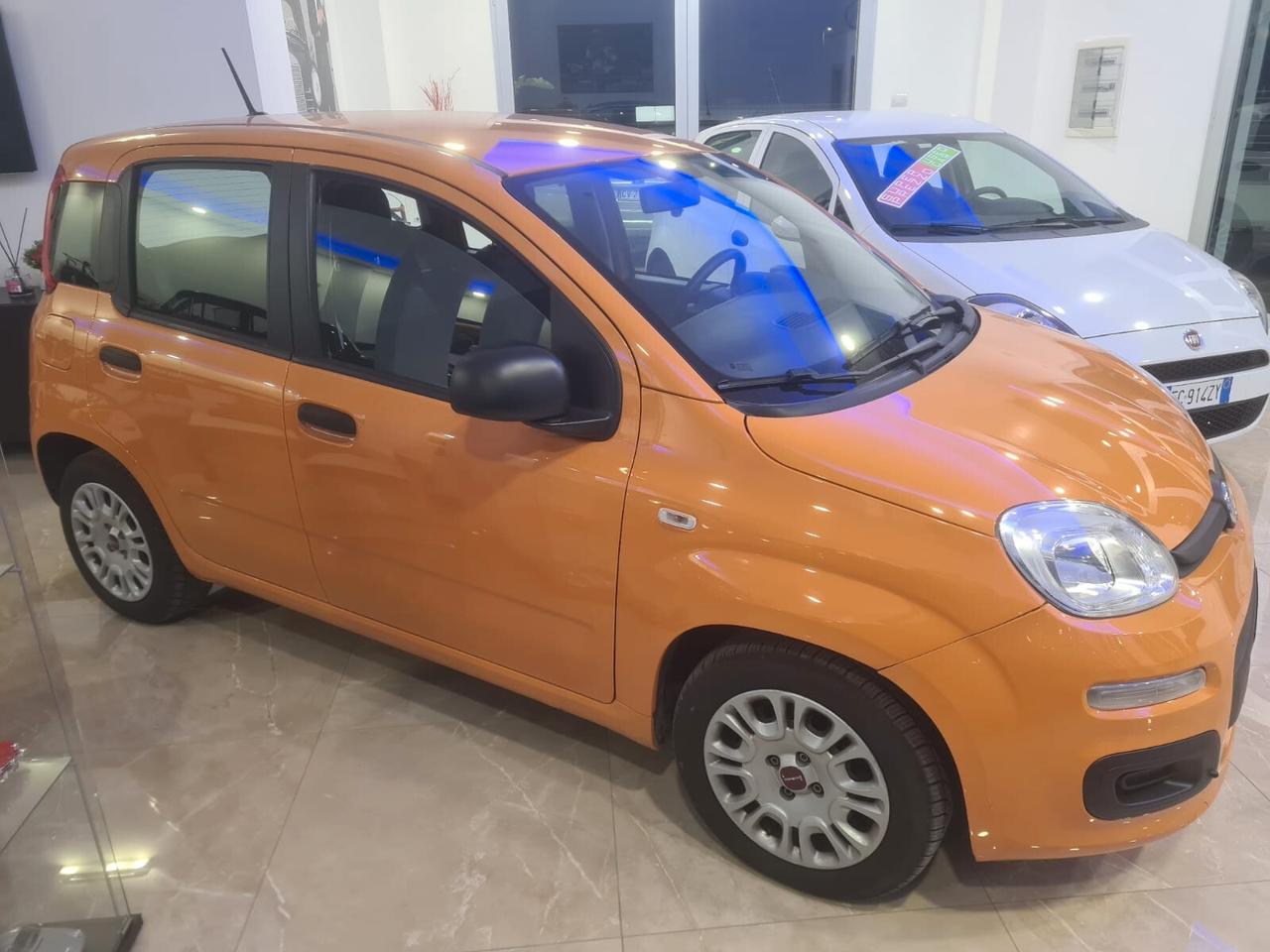 Fiat Panda 1.0 FireFly S&S Hybrid Easy