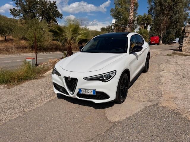 Alfa Romeo Stelvio 2.2 mjt 160 CV Tetto apribile AT8