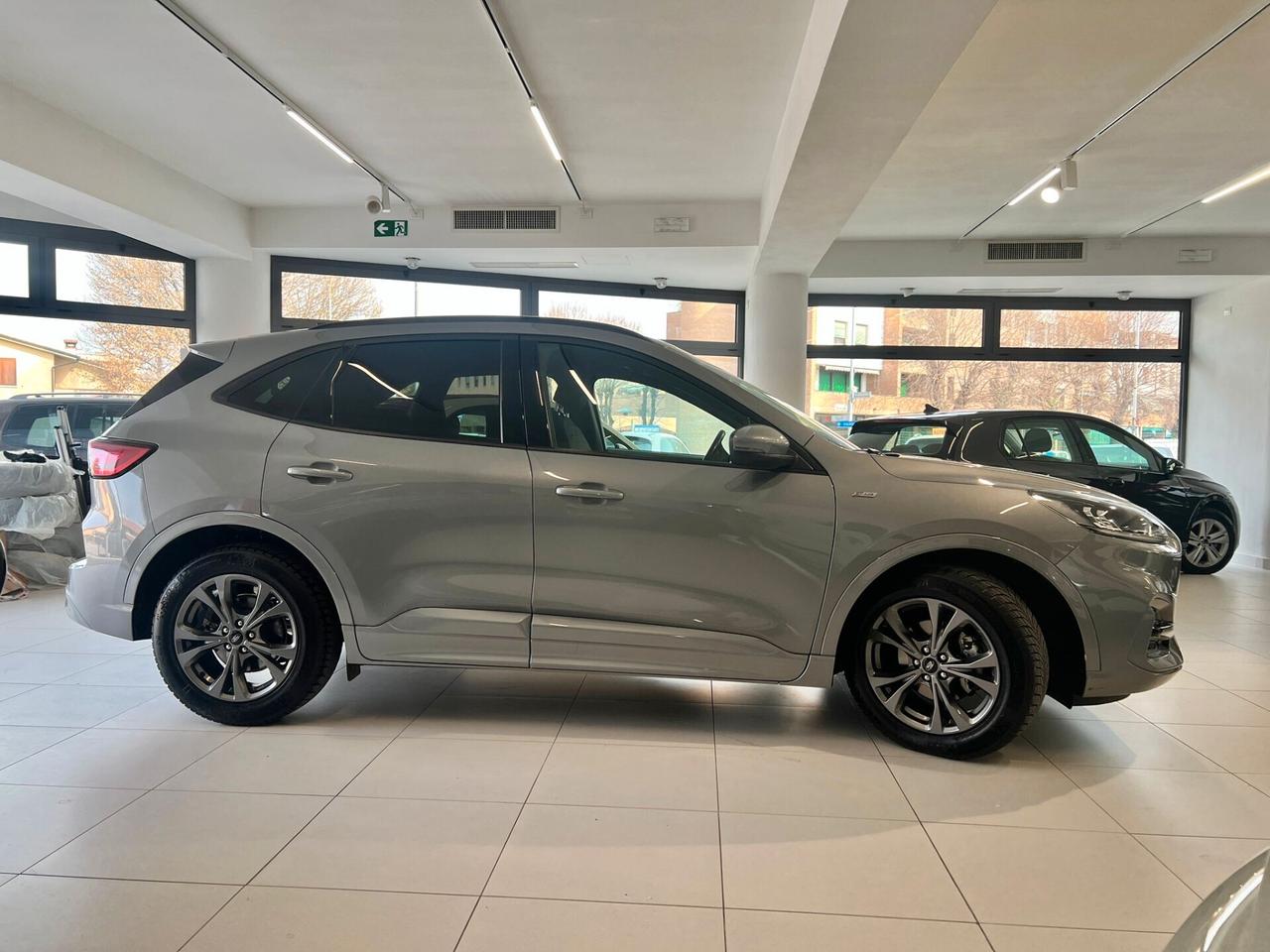 Ford Kuga 1.5 EcoBlue 120 CV 2WD ST-Line