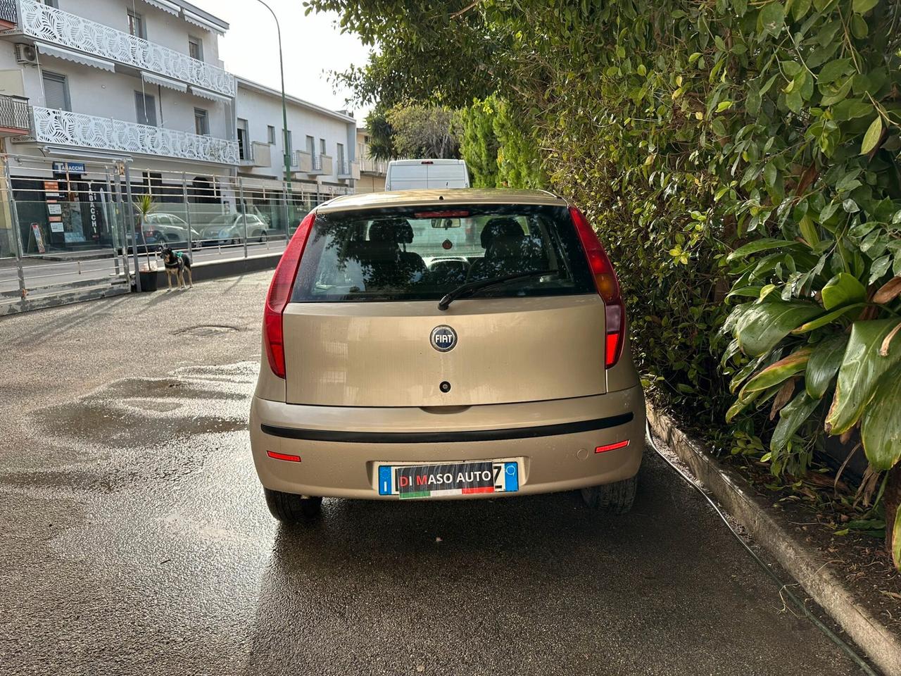 Fiat Punto Classic 1.2 5 porte Natural Power Active