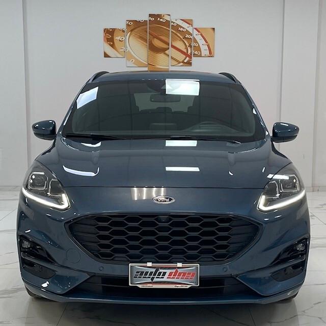 Ford Kuga 2.0 EcoBlue 120 CV aut. 2WD ST-Line