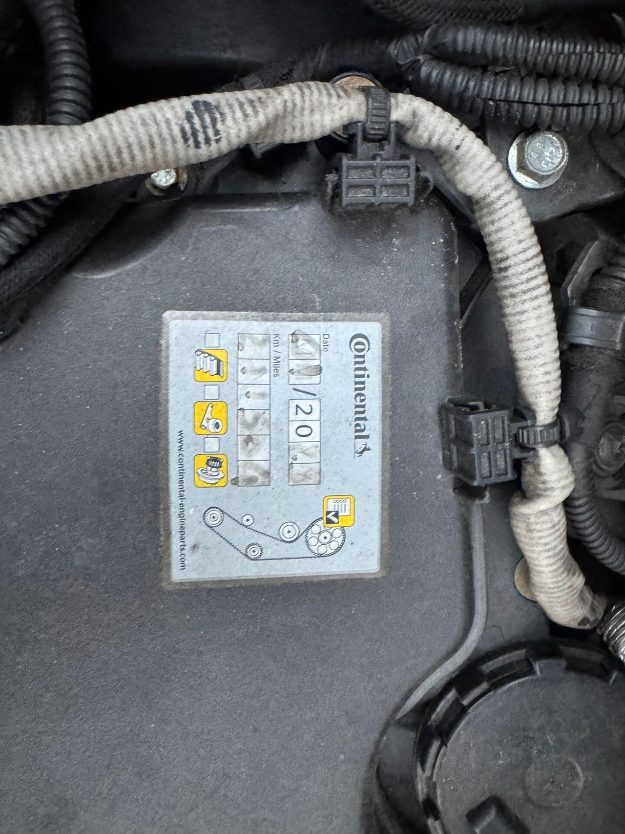 Renault Kangoo Blue dCi 8V 95 CV 5 porte Limited2