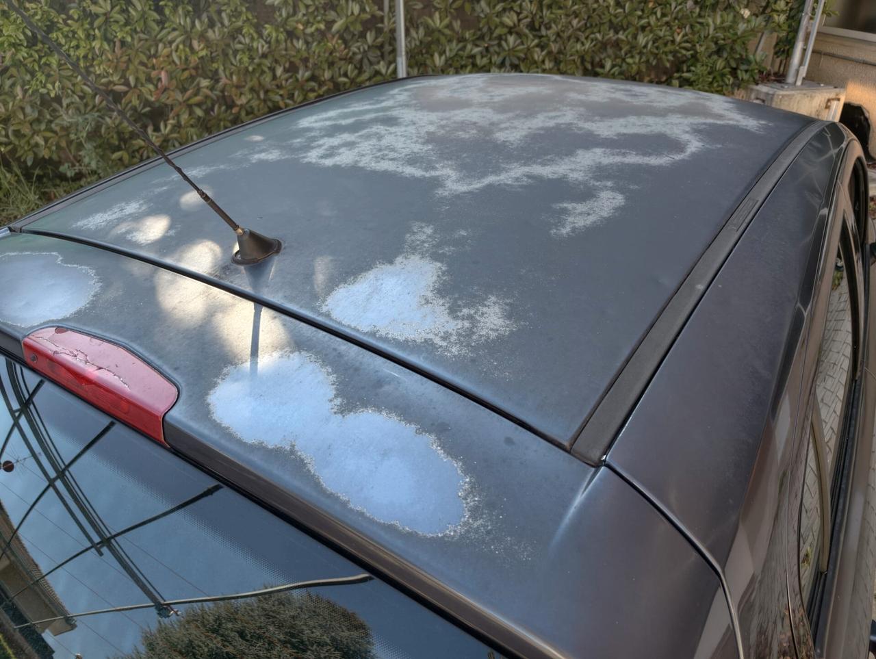 Opel Corsa 1.3 CDTI 75CV 5 porte Club