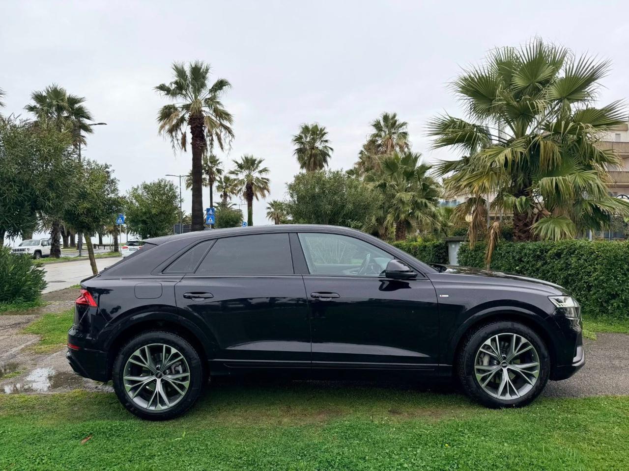 Audi Q8 50 3.0 tdi mhev quattro tiptronic