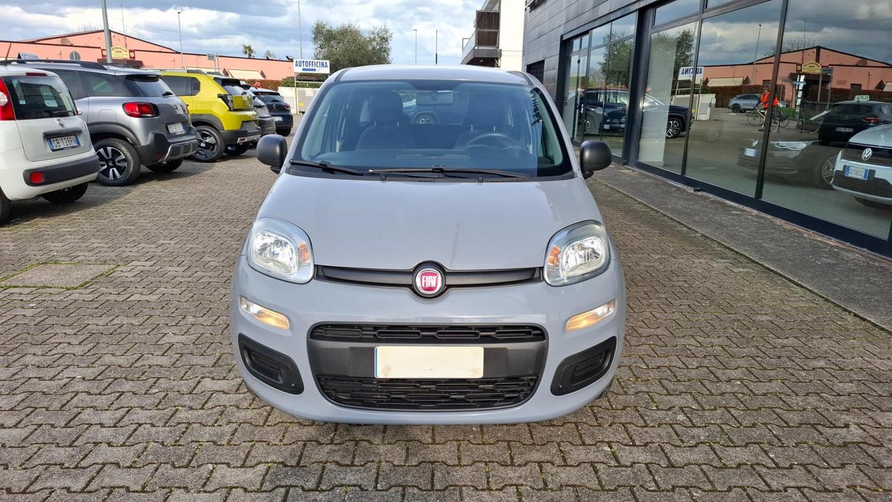 Fiat Panda 1.2 Easy easypower Gpl 69cv my19