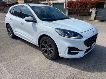 Ford Kuga 2.0 EcoBlue 120 CV aut. 2WD ST-Line X