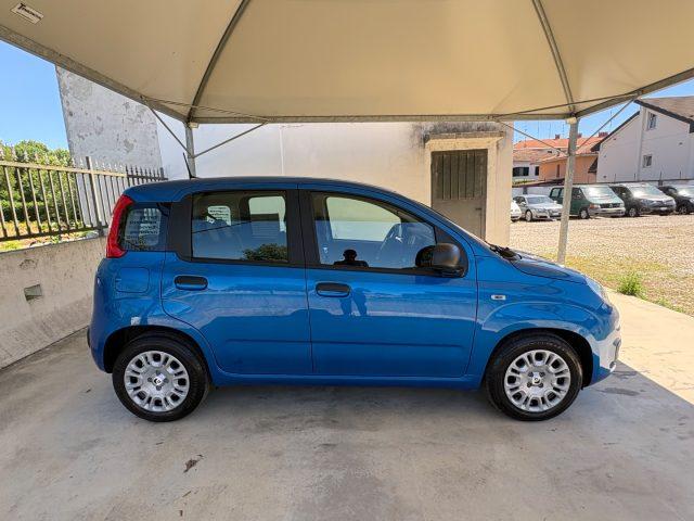 FIAT Pandina 1.0 FireFly 65 CV Hybrid Icon COME NUOVA