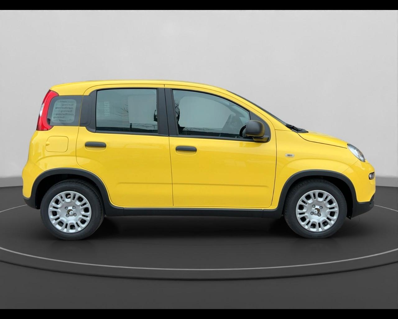 FIAT Panda III 2024 - Panda 1.0 firefly hybrid s&s 70cv