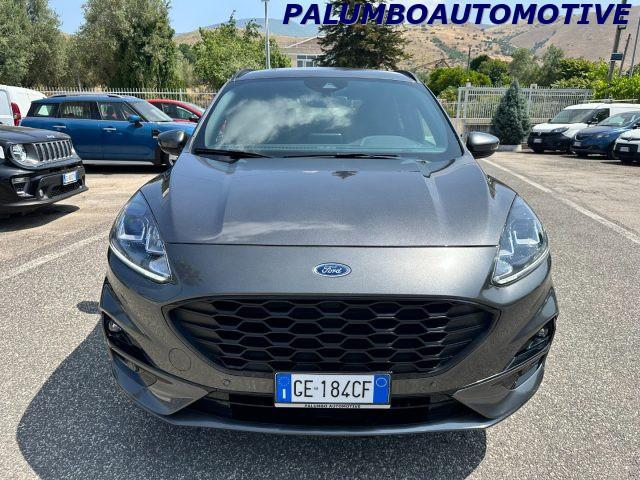 FORD Kuga 1.5 EcoBlue 120 CV 2WD ST-Line