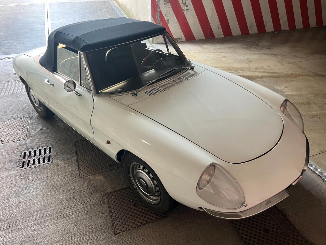 Alfa Romeo Spider 1750 Osso di seppia