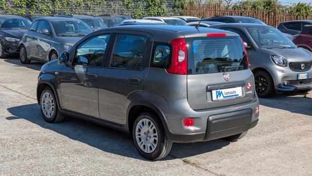 FIAT Panda FireFly Hybrid 1.0cc 69cv