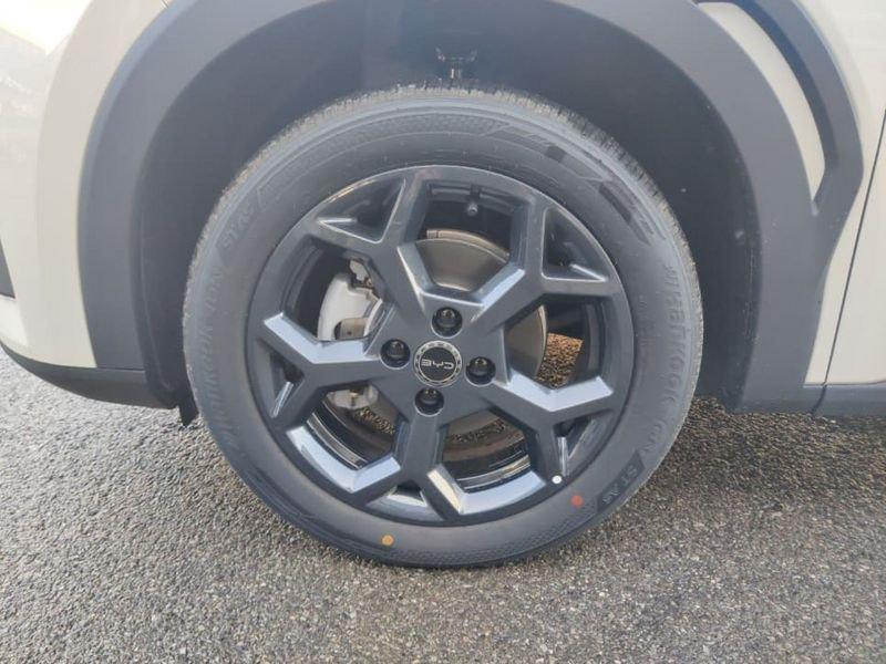 BYD Dolphin Surf Comfort