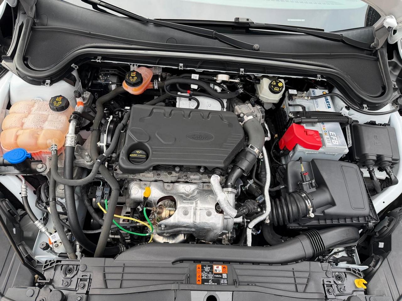 Ford Focus SW 1.5 ECOBLUE 120 cv. BUSINESS (Nav)