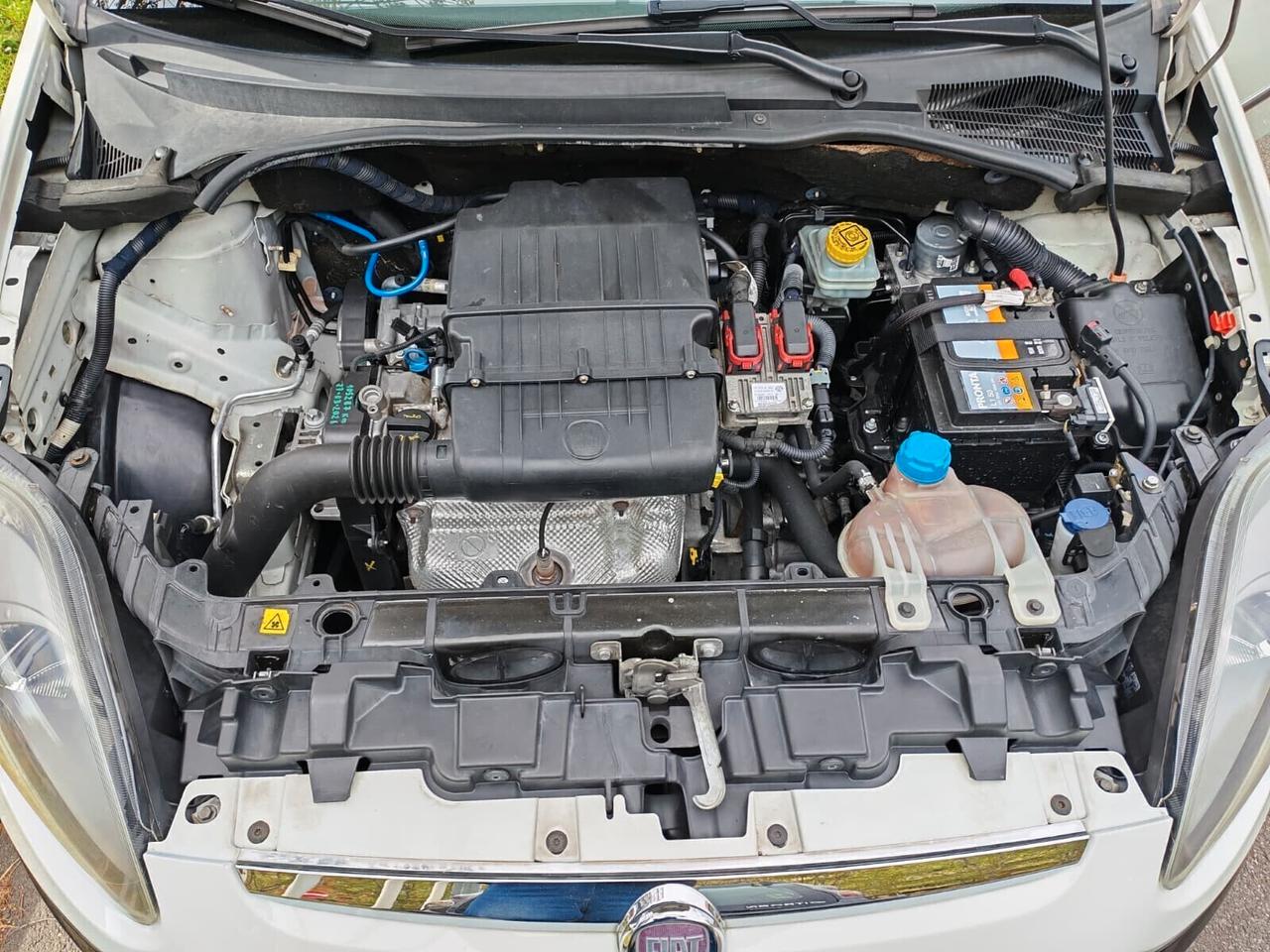 Fiat Punto Evo - DISTRIBUZIONE APPENA FATTA!!!