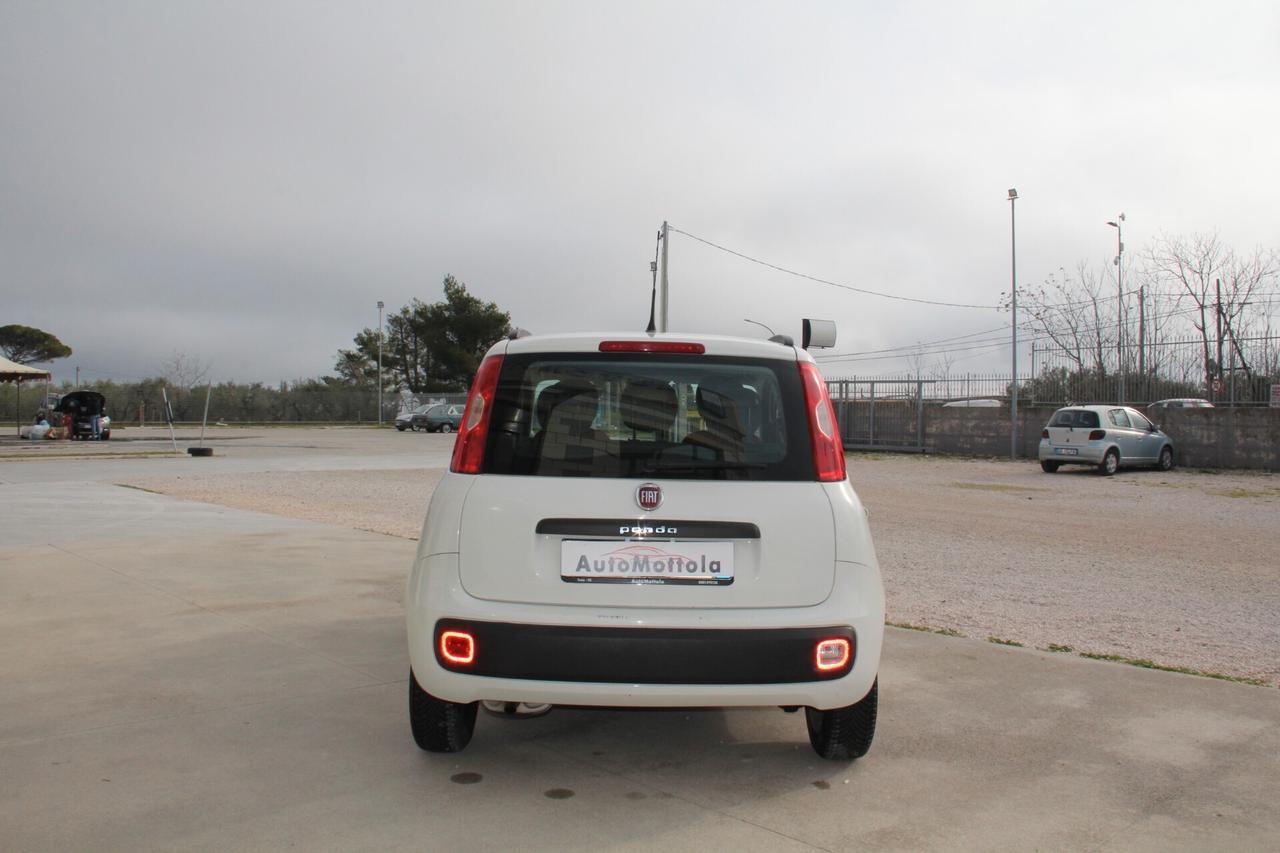 Fiat Panda 1.2 Easy (KW 51 CV 70 Neopatentati)