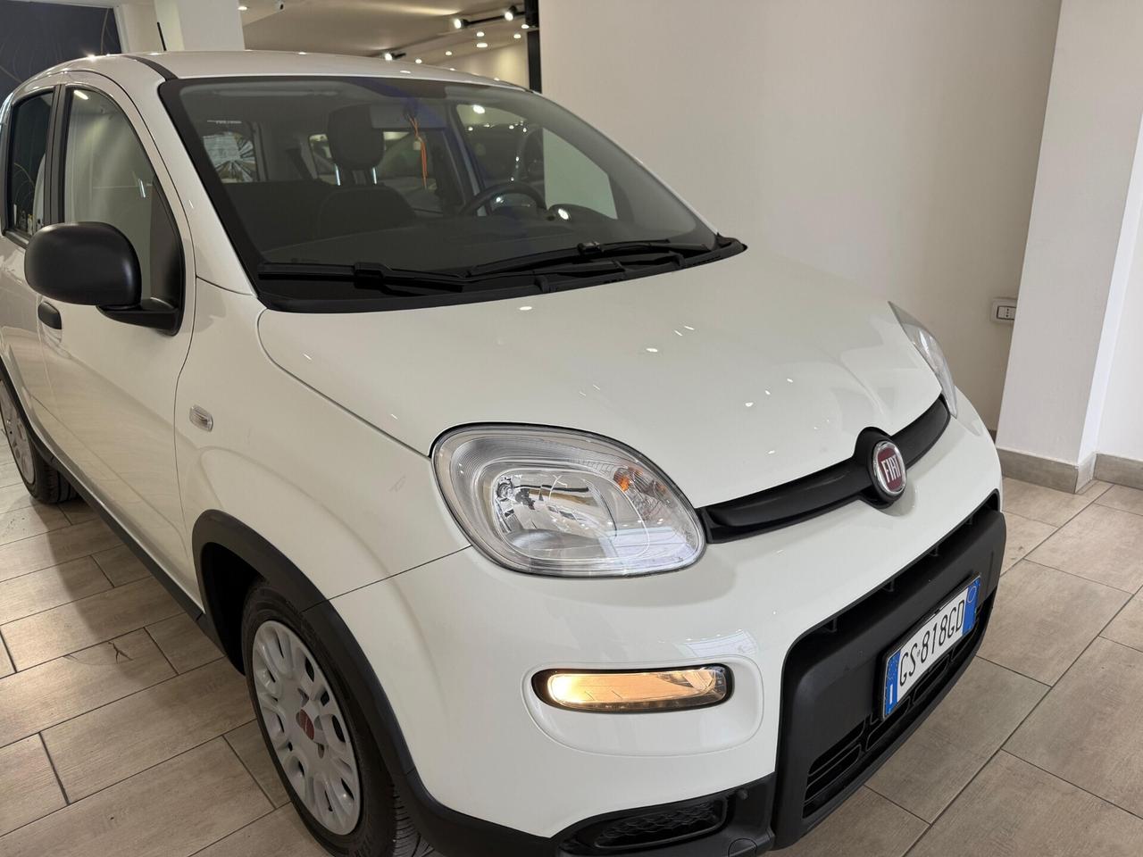 Fiat Panda 1.0 Hybrid 70cv 2024 solo 20.000km